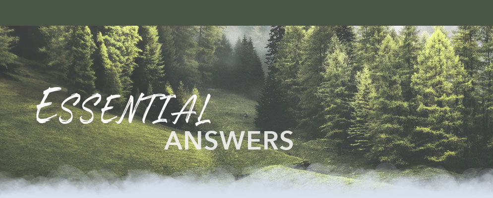 Essential Answers
